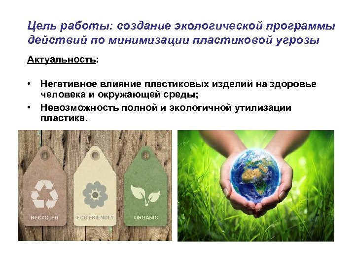 Разработка экологической программы. Экологические программы. Экологические приложения. Цели экологии. Целевые программы «экология».
