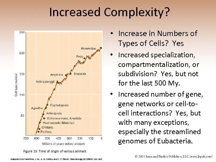 Increased Complexity? • Increase in Numbers of Types of Cells? Yes • Increased specialization,
