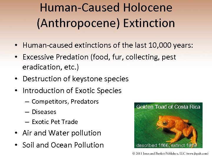 Human-Caused Holocene (Anthropocene) Extinction • Human-caused extinctions of the last 10, 000 years: •