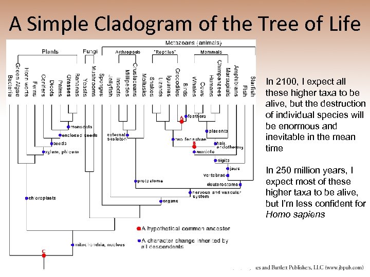 A Simple Cladogram of the Tree of Life In 2100, I expect all these