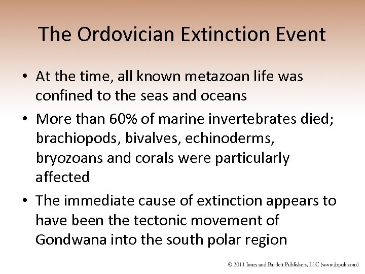 The Ordovician Extinction Event • At the time, all known metazoan life was confined