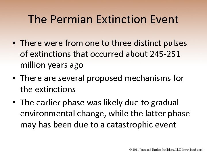 The Permian Extinction Event • There were from one to three distinct pulses of