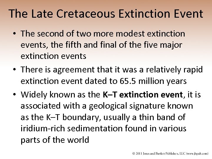 The Late Cretaceous Extinction Event • The second of two more modest extinction events,