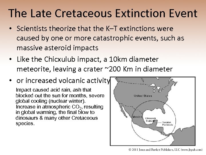 The Late Cretaceous Extinction Event • Scientists theorize that the K–T extinctions were caused