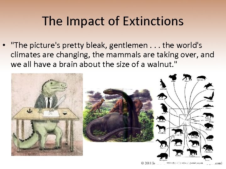 The Impact of Extinctions • 