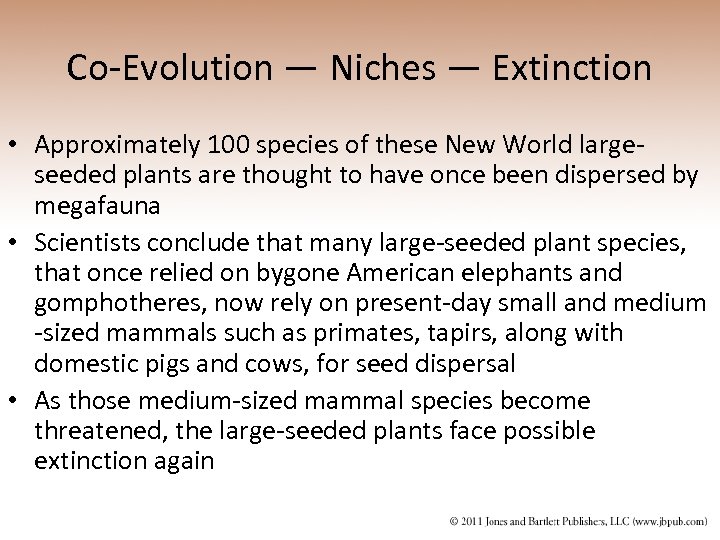 Co-Evolution — Niches — Extinction • Approximately 100 species of these New World largeseeded