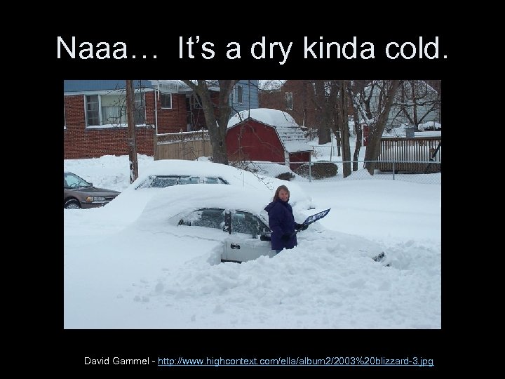 Naaa… It’s a dry kinda cold. David Gammel - http: //www. highcontext. com/ella/album 2/2003%20