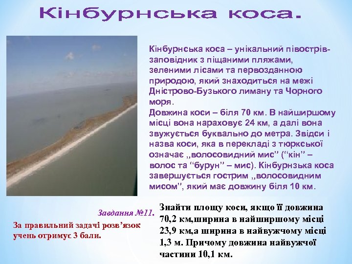  Кінбурнська коса – унікальний півострівзаповідник з піщаними пляжами, зеленими лісами та первозданною природою,