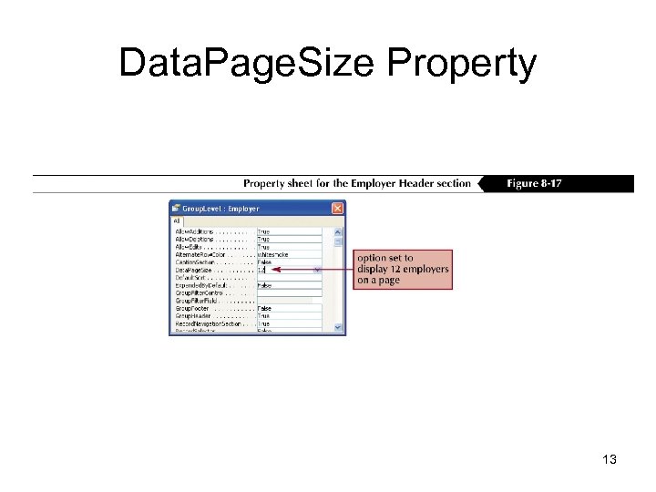 Data. Page. Size Property 13 