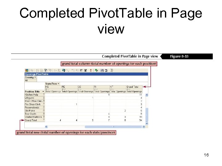 Completed Pivot. Table in Page view 16 