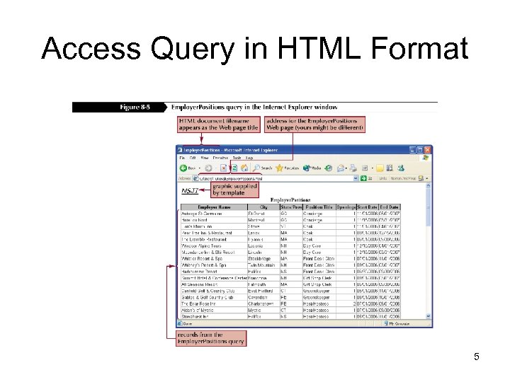 Access Query in HTML Format 5 