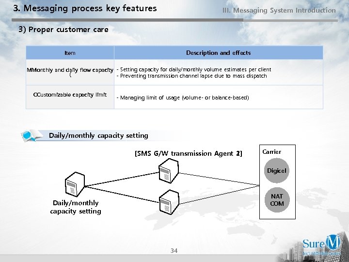 3. Messaging process key features III. Messaging System Introduction 3) Proper customer care Description