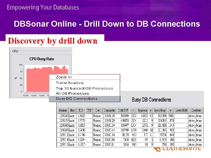 DBSonar Online - Drill Down to DB Connections Discovery by drill down 