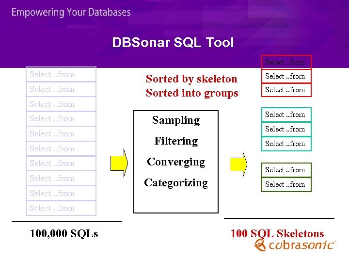 DBSonar SQL Tool Select. . from Select. . from Sorted by skeleton Sorted into