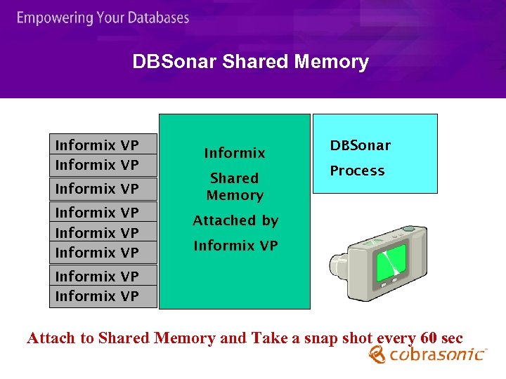 DBSonar Shared Memory Informix VP Informix VP Informix Shared Memory DBSonar Process Attached by