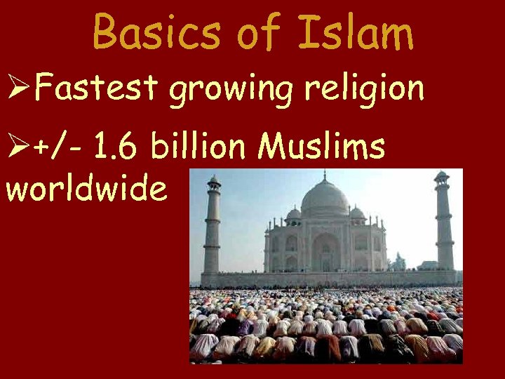 Basics of Islam Fastest growing religion +/- 1. 6 billion Muslims worldwide 