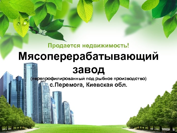 Продается недвижимость! Мясоперерабатывающий завод (перепрофилированный под рыбное производство) с. Перемога, Киевская обл. L/O/G/O 