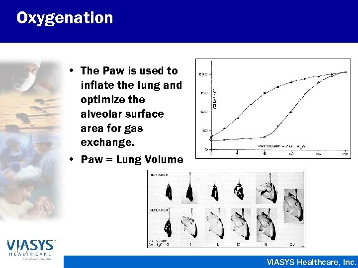 Oxygenation • The Paw is used to inflate the lung and optimize the alveolar