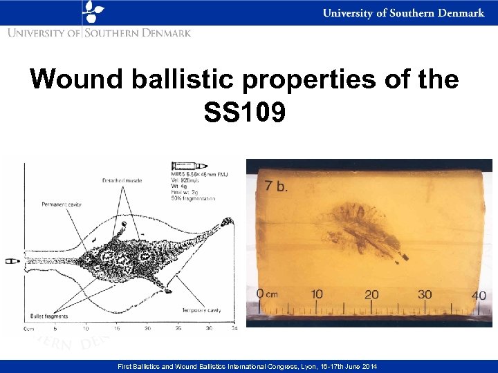 Wound ballistic properties of the SS 109 First Ballistics and Wound Ballistics International Congress,