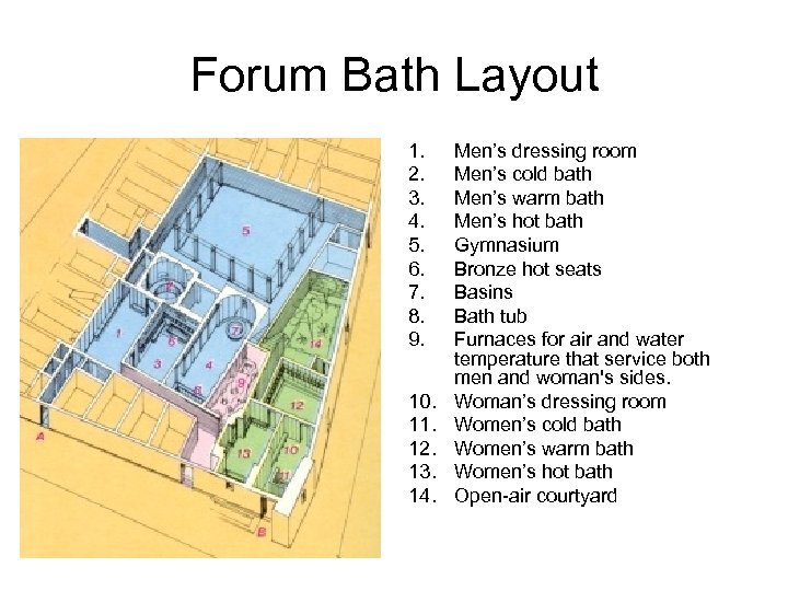 Forum Bath Layout 1. 2. 3. 4. 5. 6. 7. 8. 9. 10. 11.