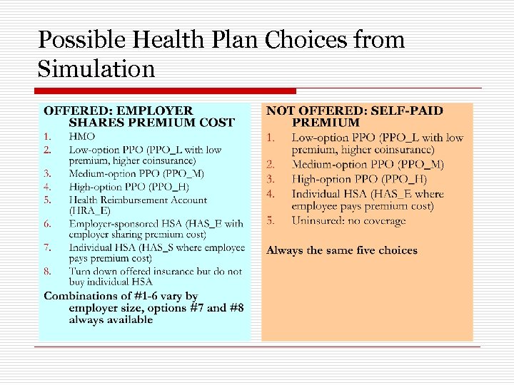 Possible Health Plan Choices from Simulation 