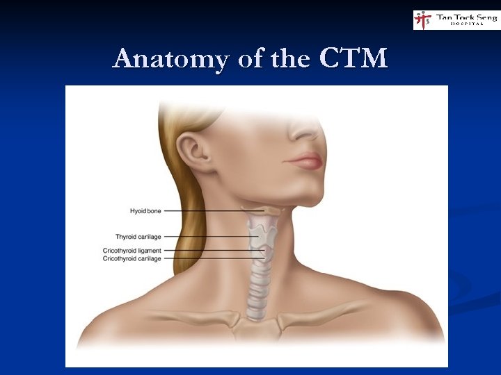 Anatomy of the CTM 