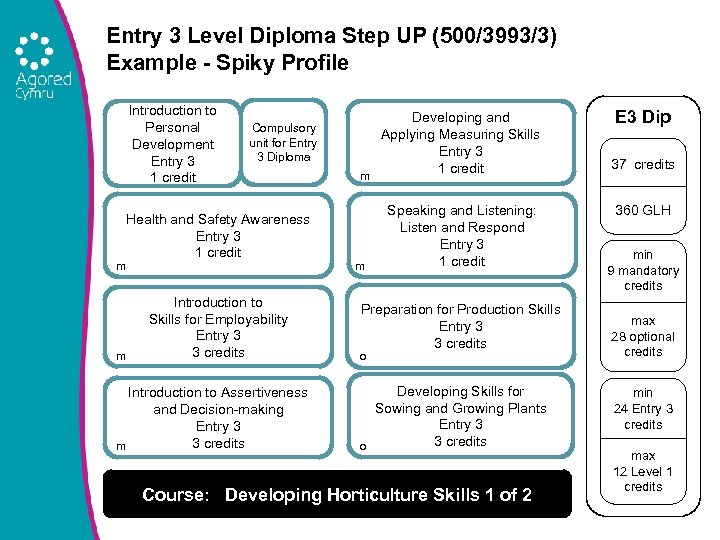 Entry 3 Level Diploma Step UP (500/3993/3) Example - Spiky Profile Introduction to Personal