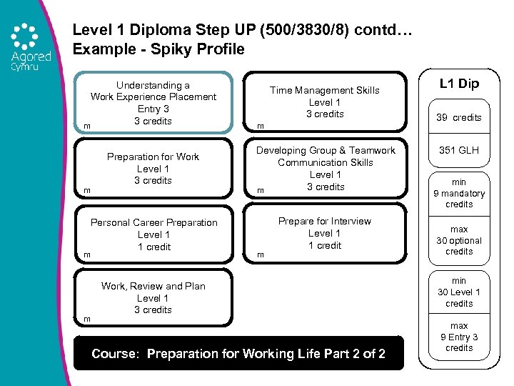 Level 1 Diploma Step UP (500/3830/8) contd… Example - Spiky Profile Understanding a Work