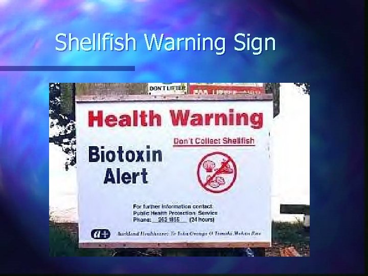 Shellfish Warning Sign 