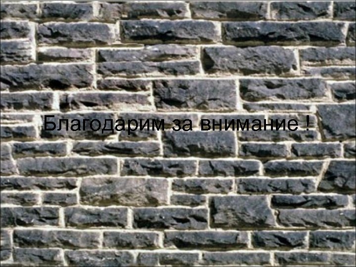 Благодарим за внимание ! 