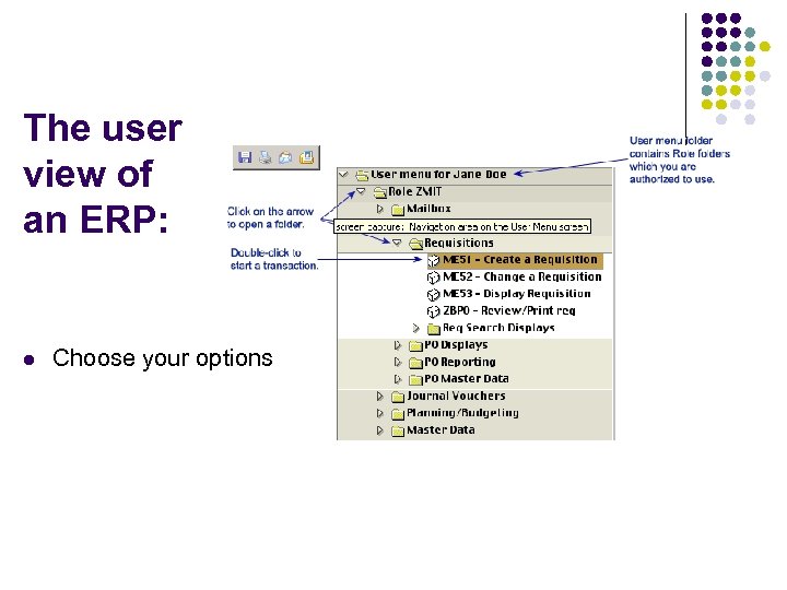 The user view of an ERP: l Choose your options 