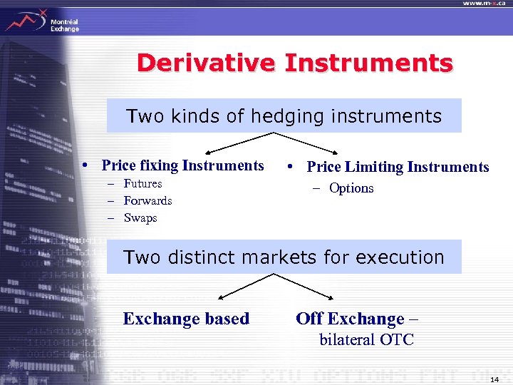 Derivative Instruments Two kinds of hedging instruments • Price fixing Instruments – Futures –