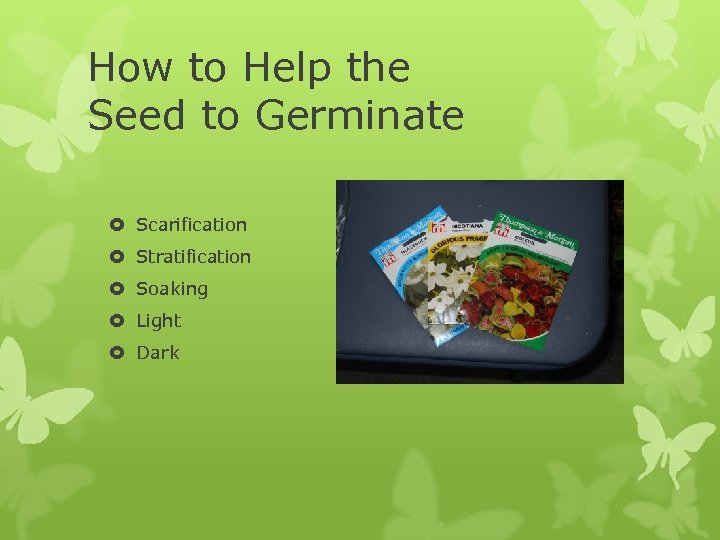 How to Help the Seed to Germinate Scarification Stratification Soaking Light Dark 