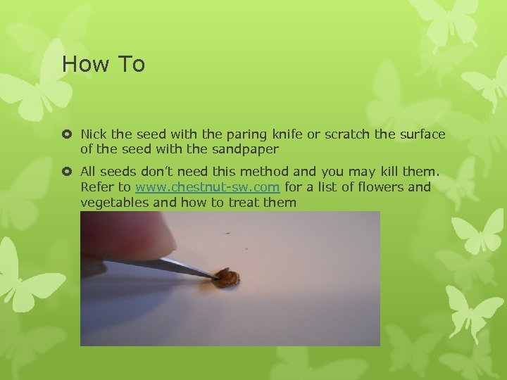 How To Nick the seed with the paring knife or scratch the surface of