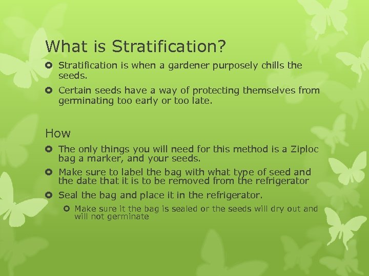 What is Stratification? Stratification is when a gardener purposely chills the seeds. Certain seeds