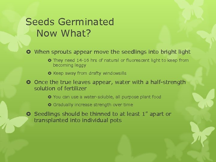Seeds Germinated Now What? When sprouts appear move the seedlings into bright light They
