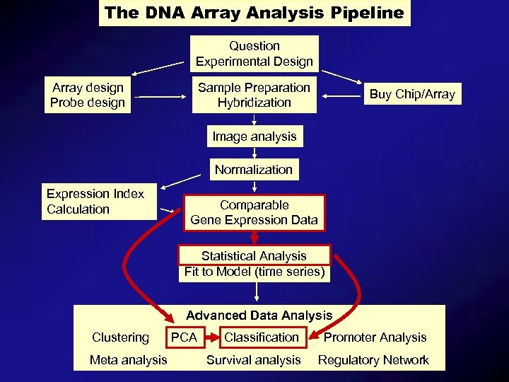 The DNA Array Analysis Pipeline Question Experimental Design Array design Probe design Sample Preparation
