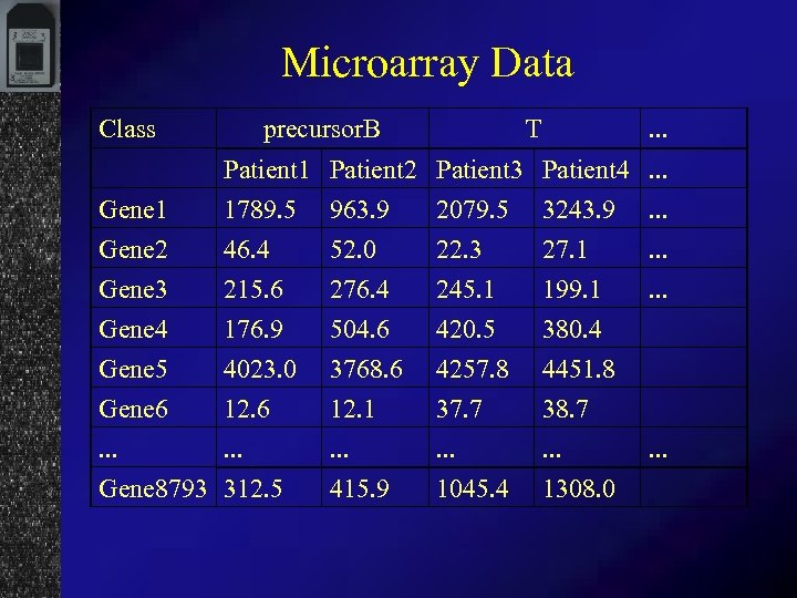 Microarray Data Class precursor. B T . . . Gene 1 Gene 2 Patient