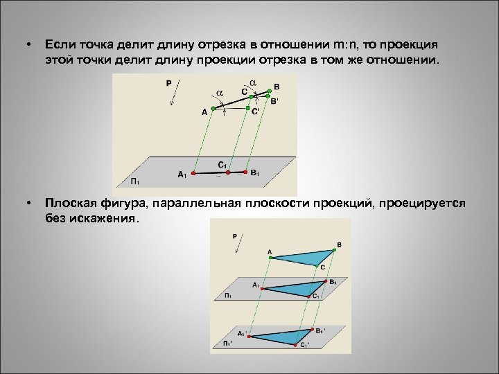  • Если точка делит длину отрезка в отношении m: n, то проекция этой