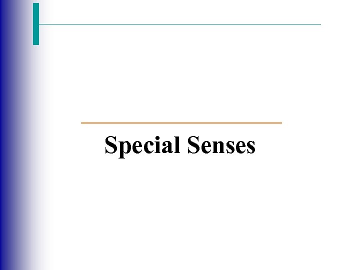 Special Senses 