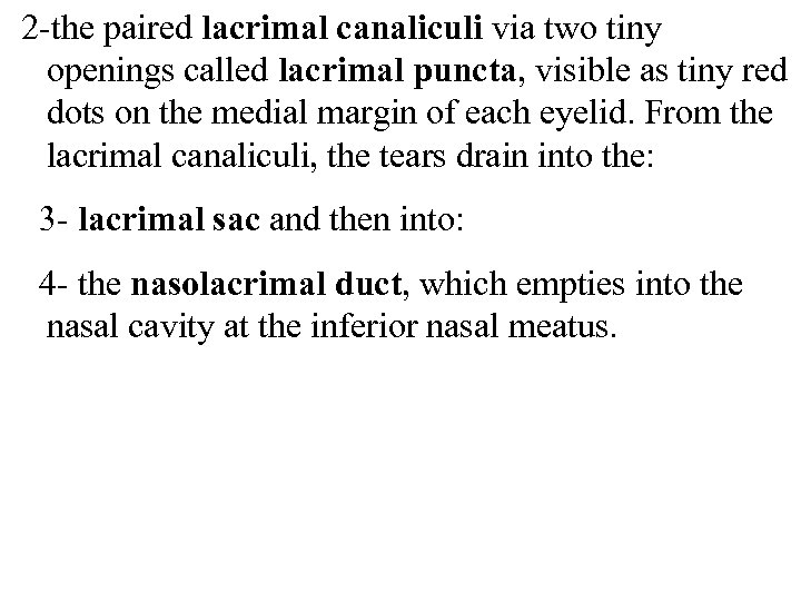 2 -the paired lacrimal canaliculi via two tiny openings called lacrimal puncta, visible as