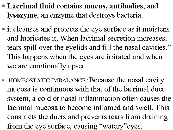 § Lacrimal fluid contains mucus, antibodies, and lysozyme, an enzyme that destroys bacteria. §