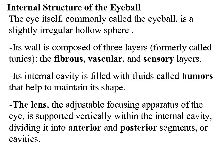 Internal Structure of the Eyeball The eye itself, commonly called the eyeball, is a