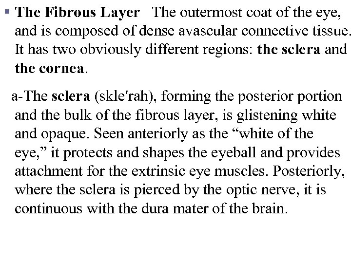 § The Fibrous Layer The outermost coat of the eye, and is composed of