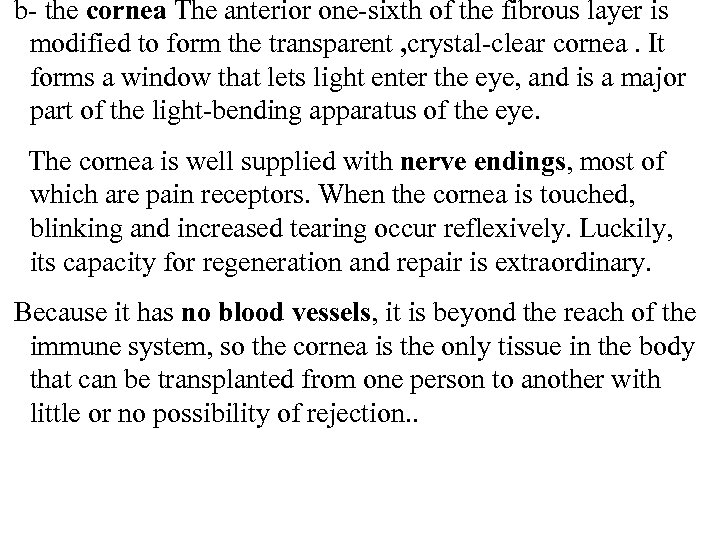  b- the cornea The anterior one-sixth of the fibrous layer is modified to