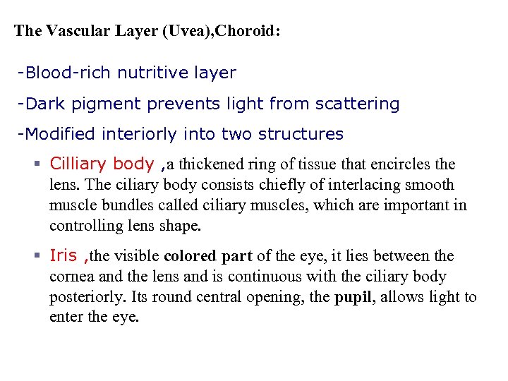 The Vascular Layer (Uvea), Choroid: -Blood-rich nutritive layer -Dark pigment prevents light from scattering