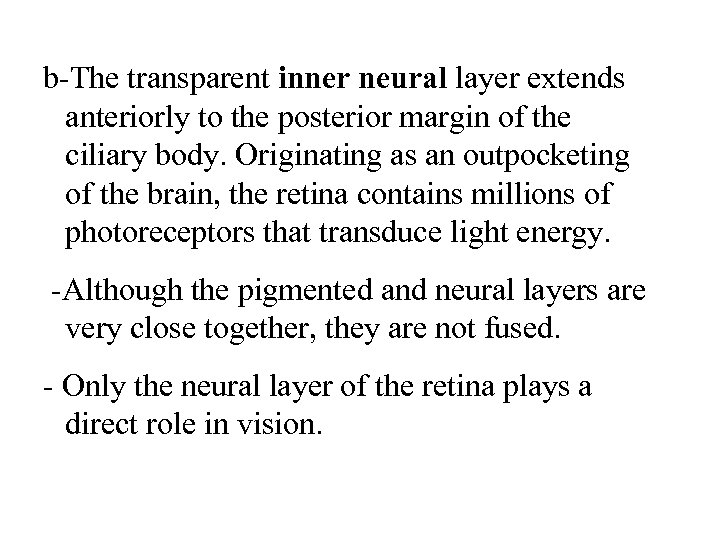 b-The transparent inner neural layer extends anteriorly to the posterior margin of the ciliary