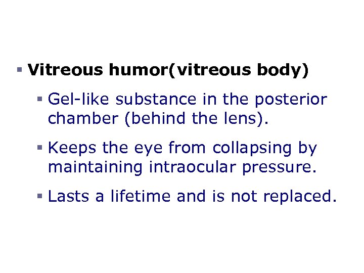 § Vitreous humor(vitreous body) § Gel-like substance in the posterior chamber (behind the lens).