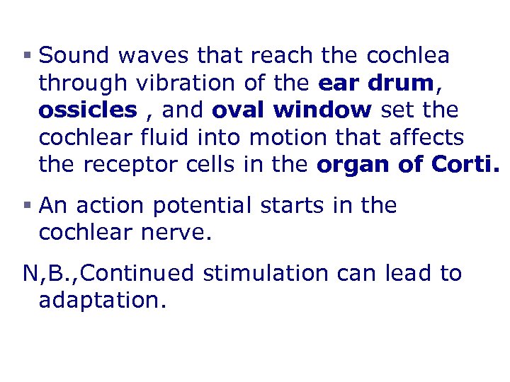 Mechanisms of Hearing § Sound waves that reach the cochlea through vibration of the