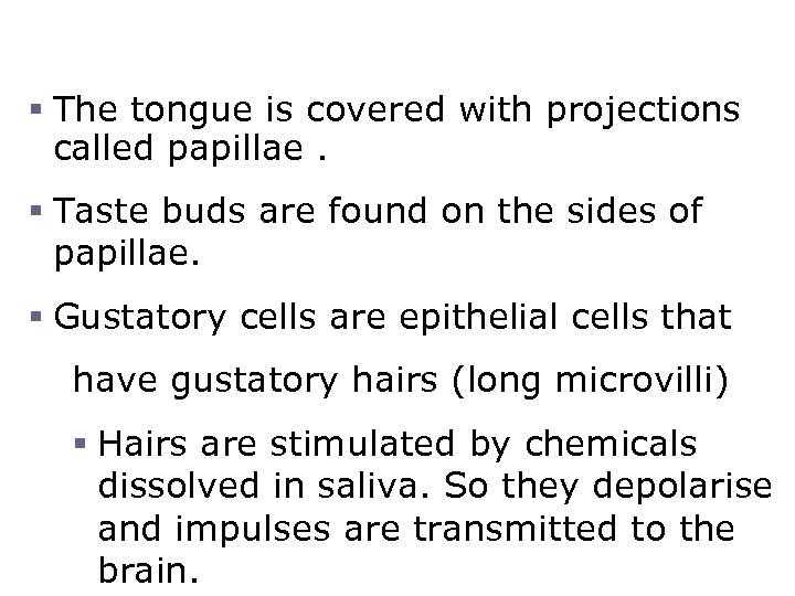 The Tongue and Taste § The tongue is covered with projections called papillae. §